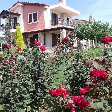 Mary's House
